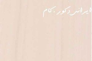 2219 7355 2500 2300 80 18948 2500 2300 80 1 ام دی اف ای جی تی(AGT)