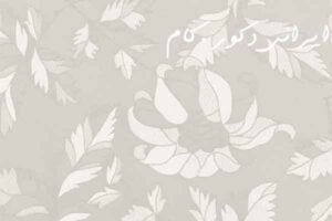 6181 beyaz yaprak 7403 2500 2300 80 18996 2500 2300 80 1 ام دی اف ای جی تی(AGT)