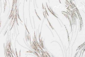 6190 beyaz bas ak 7409 2500 2300 80 19002 2500 2300 80 1 ام دی اف ای جی تی(AGT)