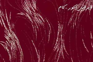 6192 k rm z bas ak 7411 2500 2300 80 19004 2500 2300 80 1 ام دی اف ای جی تی(AGT)