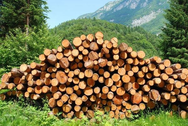 انواع برش چوب کدام است؟